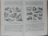 1764. Fizinė Geografija A. Barkovas - nuotraukos Nr. 6