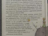 Mažasis princas - nuotraukos Nr. 2