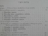 1772. Filosofijos Įvada St. Šalkauskis - nuotraukos Nr. 2