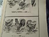 Vintage kolekcinė knyga vadovelis - nuotraukos Nr. 5