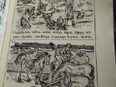 Vintage kolekcinė knyga vadovelis - nuotraukos Nr. 6