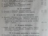 1777. Kosmos - nuotraukos Nr. 11
