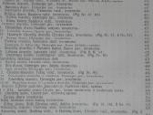 1778. Istorijos Archyvas labai reta antikvarinė-ko - nuotraukos Nr. 4