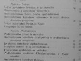 1780. Vilniaus Meno Mokykla (1793-1831) P. G.alaun - nuotraukos Nr. 4