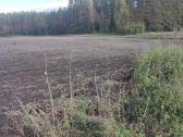 Sklypas Trakų rajone Senojo Tarpupio kaime - nuotraukos Nr. 2