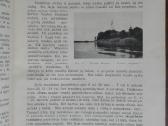 1787. Gamta retas antikvarinis-kolekcinis - nuotraukos Nr. 7