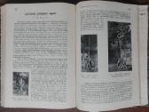 1787. Gamta retas antikvarinis-kolekcinis - nuotraukos Nr. 19