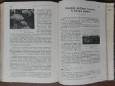1787. Gamta retas antikvarinis-kolekcinis - nuotraukos Nr. 20