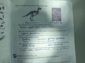 Biologijos užduotys 10 klasei - nuotraukos Nr. 4