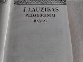 Pedagoginiai raštai. J. Laužikas - nuotraukos Nr. 2