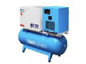 Sraigtinis kompresorius Viber-system 500l 750l/m 1 - nuotraukos Nr. 2
