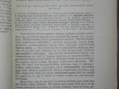 1788. Lietuvių Tauta Ir Jos Ugdymas St. Šalkauskis - nuotraukos Nr. 6