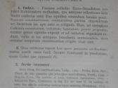 1795. Commentarium In Codicem Iuris Canonici (Kano - nuotraukos Nr. 6