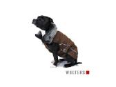 Waterproof Dog Coat (neperšlampamas paltukas)