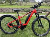 Sveicariskas su Rohloff E-14