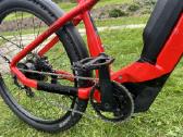 Sveicariskas su Rohloff E-14 - nuotraukos Nr. 2