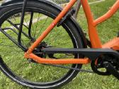 Sveicariskas su Rohloff e-14 - nuotraukos Nr. 2