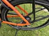 Sveicariskas su Rohloff e-14 - nuotraukos Nr. 4