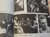 Kauno dramos teatras - nuotraukos Nr. 6