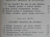 1797. Dievas-pasaulis-žmogus B. Viksva - nuotraukos Nr. 3