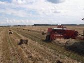 Šiaudų kitkos, Parduodam ir po 1vnt. Iš rugių - nuotraukos Nr. 6