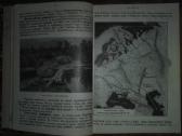 1852. Учебникъ Географiи Россiи labai reta antikv - nuotraukos Nr. 5