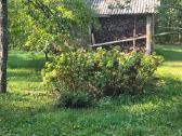 Parduodama sodyba su statiniais ir žemės sklypu - nuotraukos Nr. 5