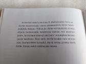 Bendrovės persilaužimas - nuotraukos Nr. 3