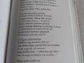 Partizanas Daumantas - nuotraukos Nr. 3