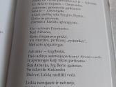 Partizanas Daumantas - nuotraukos Nr. 4