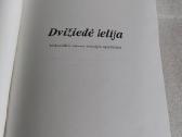 Dvižiedė lelija. Vilkaviškis 300 - nuotraukos Nr. 2