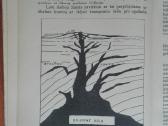 1862. Bendroji Ir Istorinė Geologija V. Ruokis - nuotraukos Nr. 5