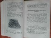 1862. Bendroji Ir Istorinė Geologija V. Ruokis - nuotraukos Nr. 6