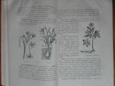1865. Mokomosios Ekskursijos V. Ruzgas - nuotraukos Nr. 6