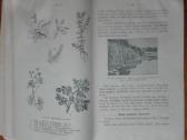1865. Mokomosios Ekskursijos V. Ruzgas - nuotraukos Nr. 8