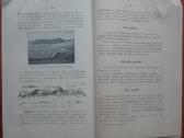 1865. Mokomosios Ekskursijos V. Ruzgas - nuotraukos Nr. 16