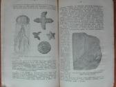 1863. Žemė Pasaulio Erdvėje reta antikvarinė-kolek - nuotraukos Nr. 7