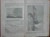 1863. Žemė Pasaulio Erdvėje reta antikvarinė-kolek - nuotraukos Nr. 8