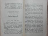 1868. Šv. Pranciškaus Saleziečio Dvasia Arba Tikra - nuotraukos Nr. 6