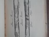 1870. Būdą Senovės Lietuvių Kalnėnų Ir Žemaičių S. - nuotraukos Nr. 8