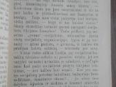 1880. Ar Bus Geriaus, Kad Socijalistai Gaus Viršų? - nuotraukos Nr. 6