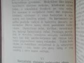 1880. Ar Bus Geriaus, Kad Socijalistai Gaus Viršų? - nuotraukos Nr. 7