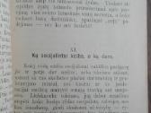 1880. Ar Bus Geriaus, Kad Socijalistai Gaus Viršų? - nuotraukos Nr. 8