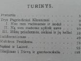 1882. Mūsų Idėjos unikali antikvarinė-kolekcinė - nuotraukos Nr. 3