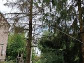 Medžių pjovimas, genėjimas, žolės pjovimas - nuotraukos Nr. 13