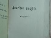 1892. Amerikos Mokykla M.gustaitis Seinai 1919 m. - nuotraukos Nr. 3