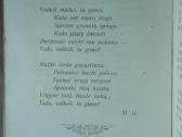 1892. Amerikos Mokykla M.gustaitis Seinai 1919 m. - nuotraukos Nr. 6