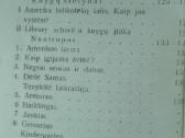1892. Amerikos Mokykla M.gustaitis Seinai 1919 m. - nuotraukos Nr. 8