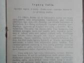 1893. Japonija Seniau Ir Dabar Dėdė (Steponas Kair - nuotraukos Nr. 3
