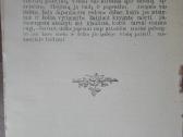 1893. Japonija Seniau Ir Dabar Dėdė (Steponas Kair - nuotraukos Nr. 5